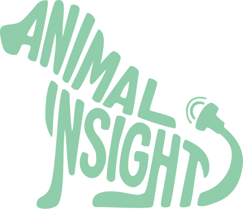Animal Insight Veterinary Ultrasound